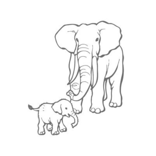 Olifant afbeelding Olifant afbeelding